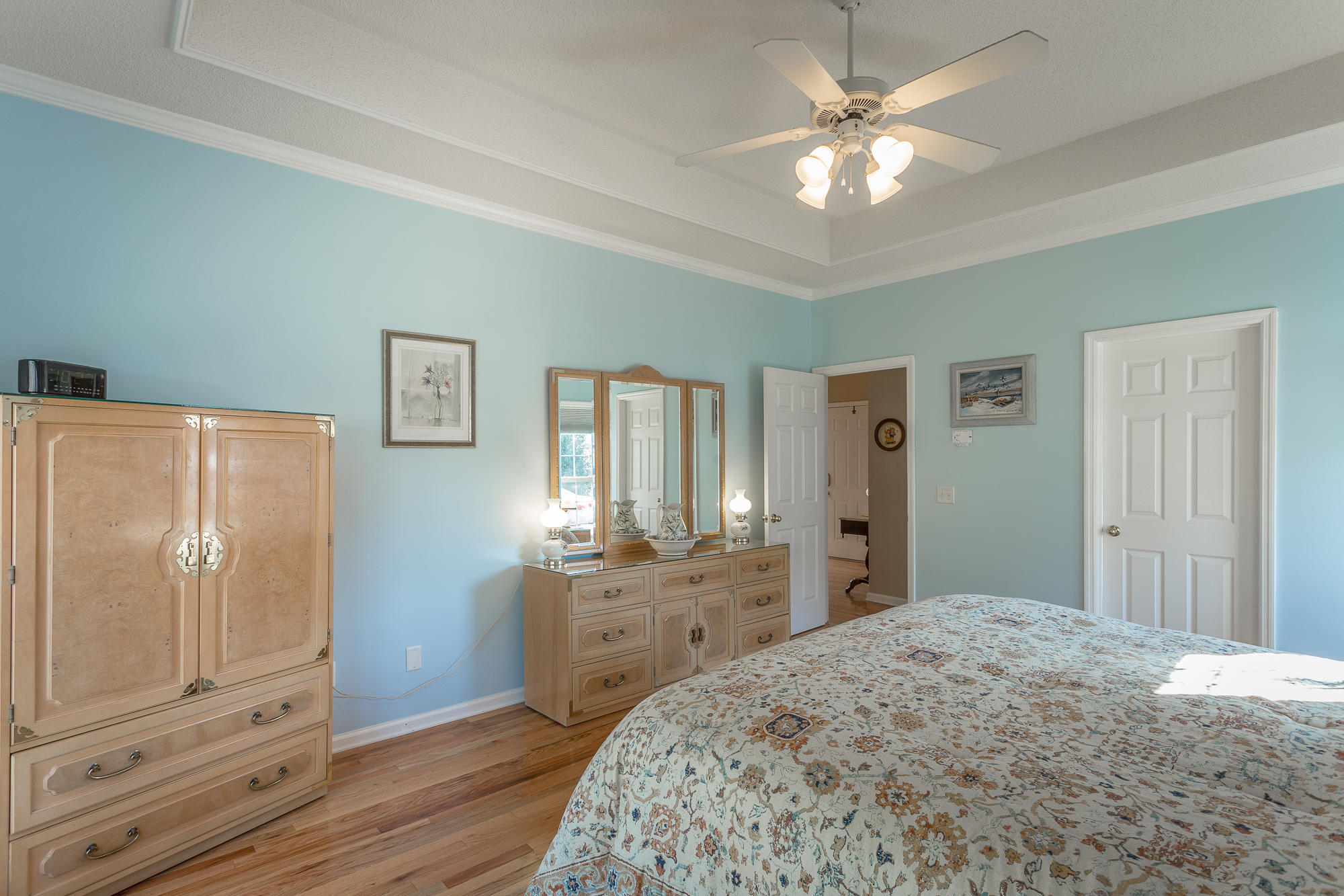 8557 Pershing Road Chattanooga, TN 37421 - Photo 27 of 47 Tray Ceiling