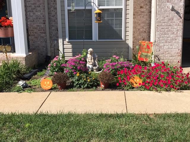 8557 Pershing Road Chattanooga, TN 37421 - Photo 4 of 47 Summertime