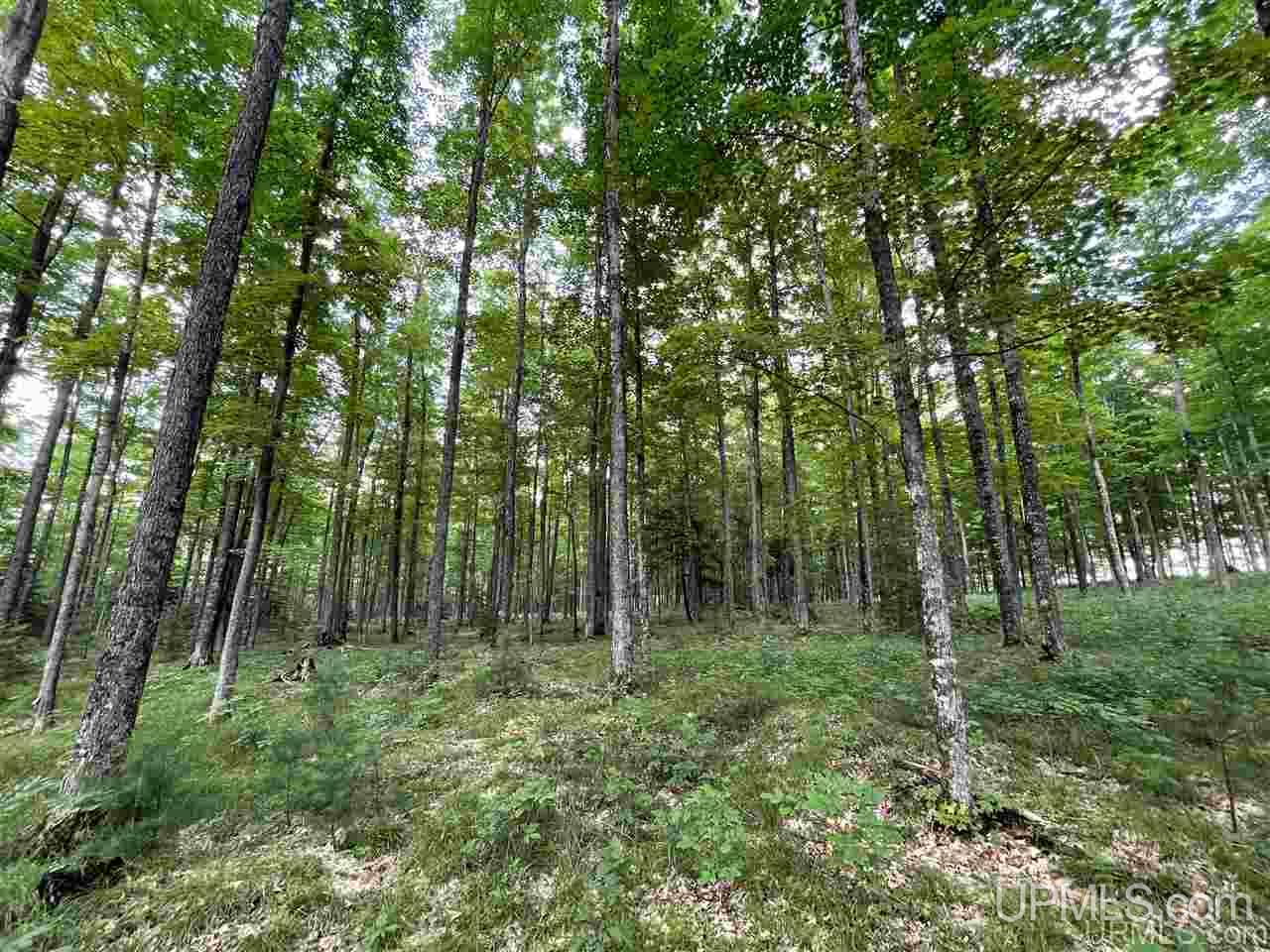 Tbd Sand Road, Unit 2 Powers, MI 49874 - Photo 23 of 38