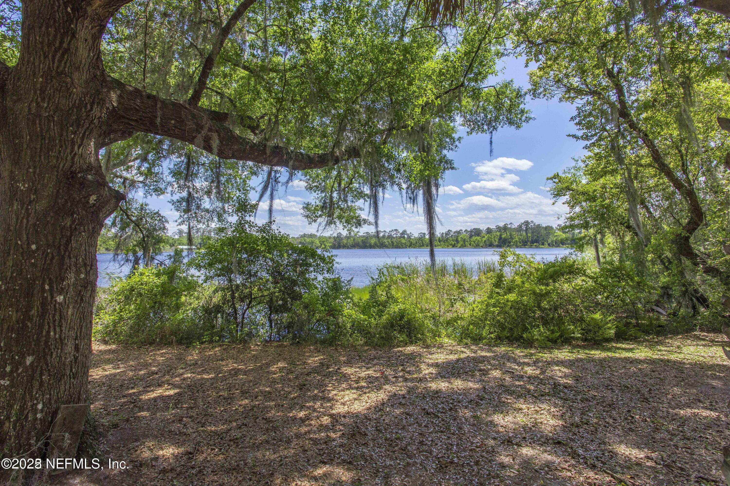 103 Beacon Street Interlachen, FL 32148 - Photo 17 of 31 a backyard of a house with lots of green space