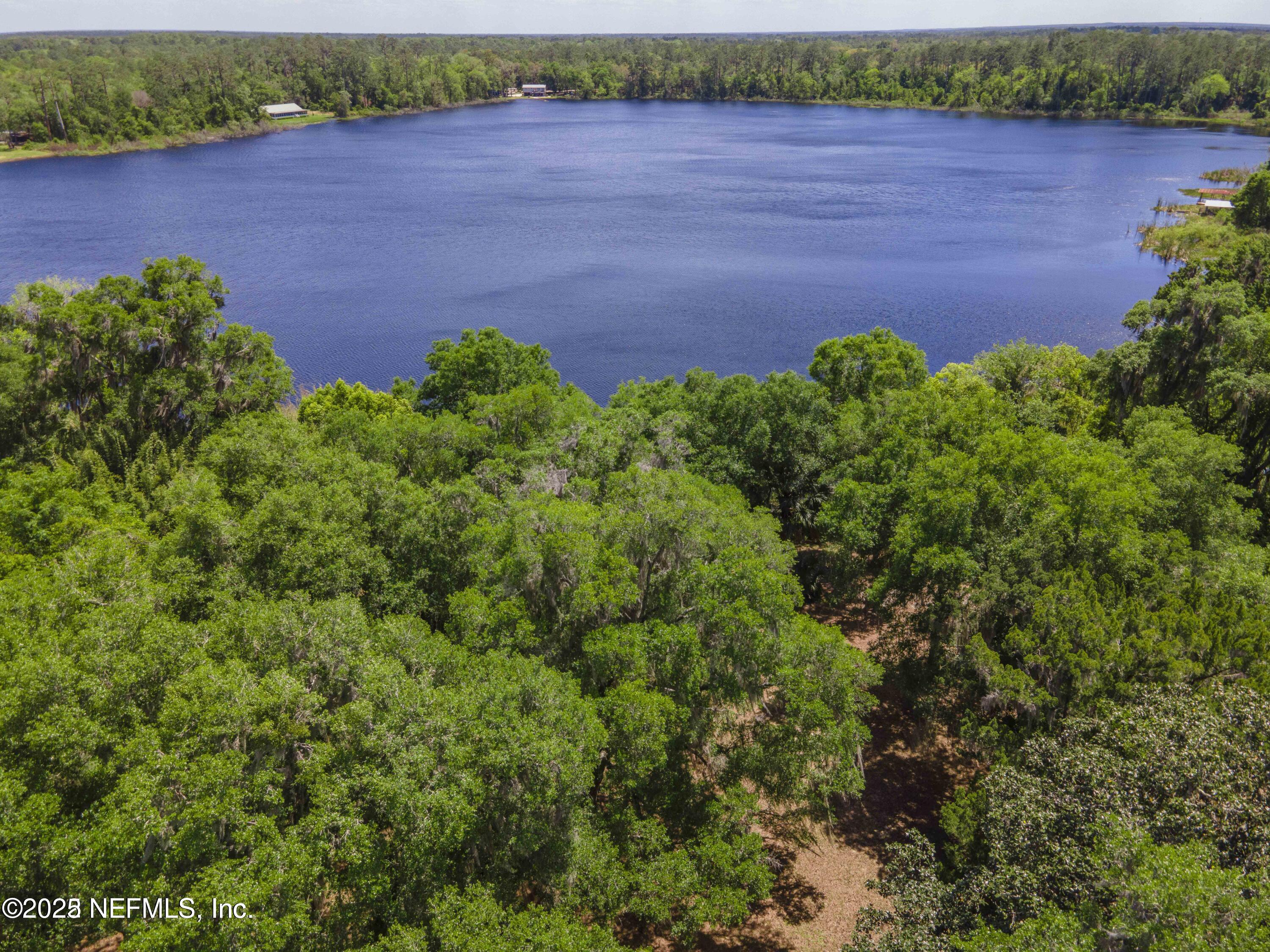 103 Beacon Street Interlachen, FL 32148 - Photo 25 of 31 a view of a garden with an outdoor space