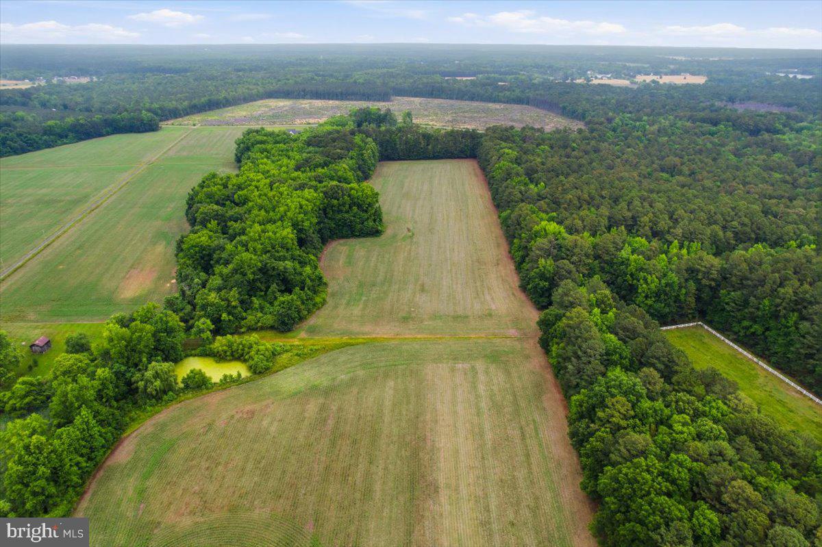 38125 Louis Thomas Road Avenue, MD 20609 - Photo 54 of 73 AERIAL VIEW