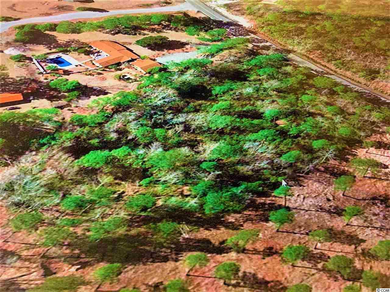 2-acres Heritage Road Loris, SC 29569 - Photo 2 of 16 Gallery Image 2