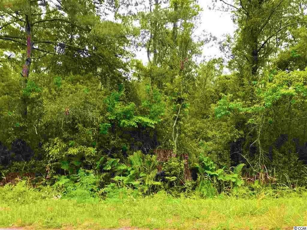 2-acres Heritage Road Loris, SC 29569 - Photo 13 of 16 Gallery Image 13