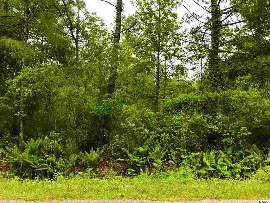 2-acres Heritage Road Loris, SC 29569 - Photo 14 of 16 Gallery Image 14