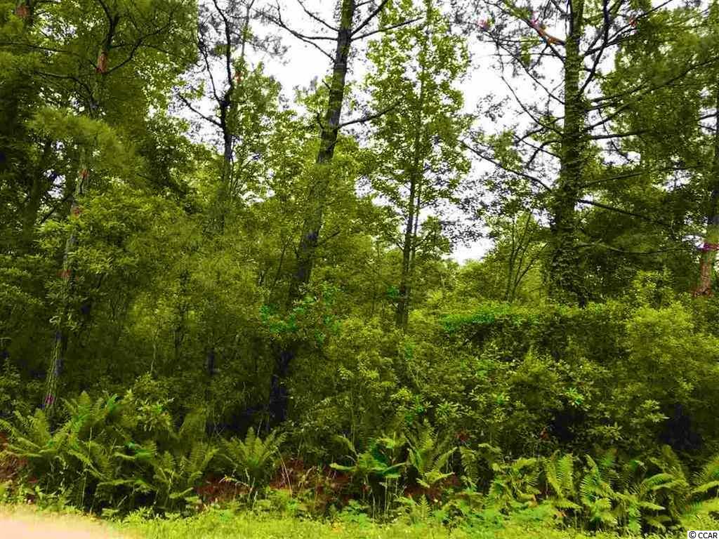2-acres Heritage Road Loris, SC 29569 - Photo 15 of 16 Gallery Image 15