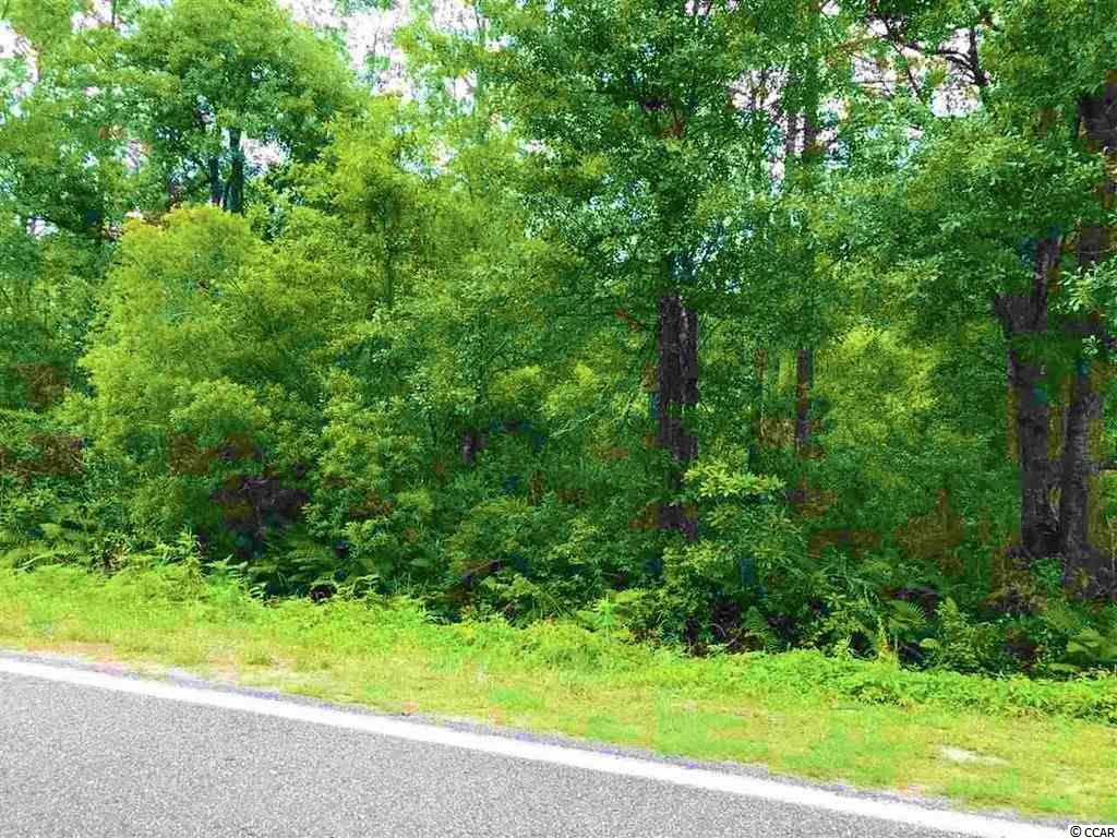 2-acres Heritage Road Loris, SC 29569 - Photo 16 of 16 Gallery Image 16