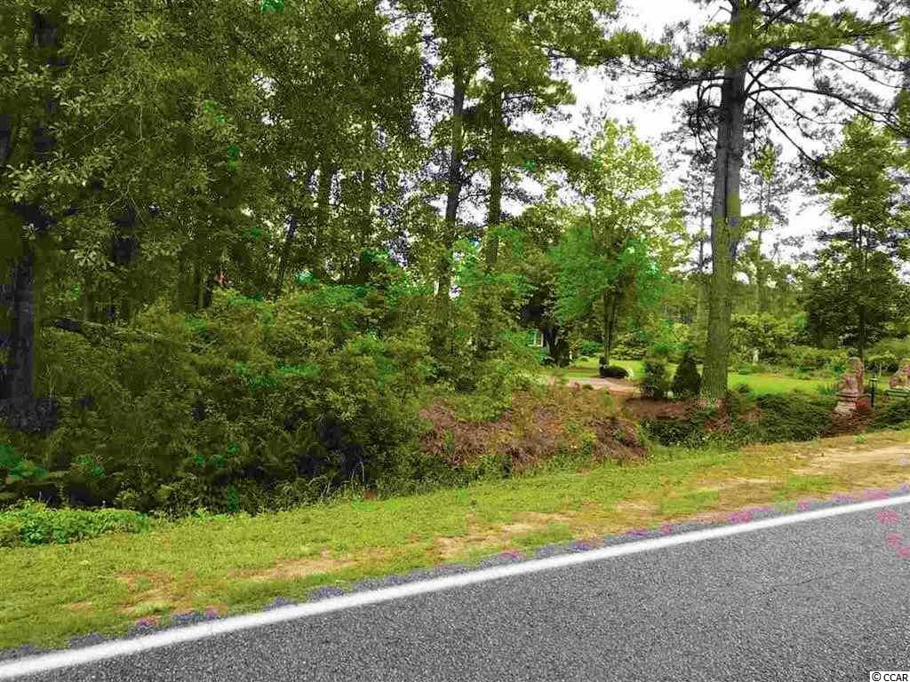 2-acres Heritage Road Loris, SC 29569 - Photo 8 of 16 Gallery Image 8