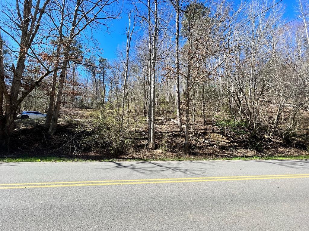 1314 Powdermill Road Gatlinburg, TN 37738 - Photo 2 of 9