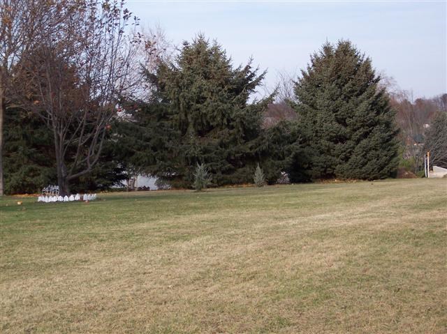 110 Newport Road Lake Summerset, IL 61019 - Photo 3 of 12
