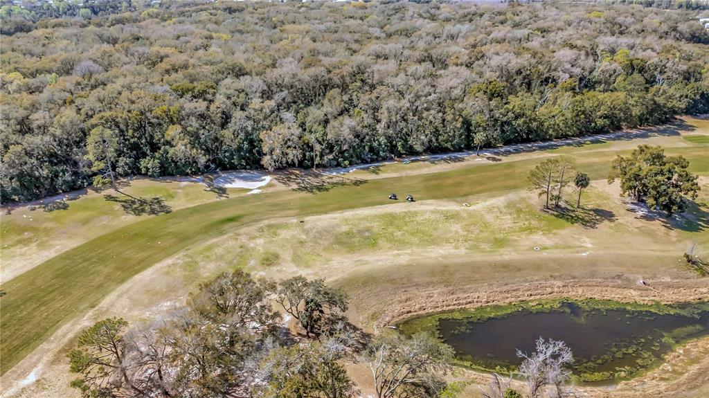 3935 Parway Road, Unit 1322 Zellwood, FL 32798 - Photo 59 of 60 Gallery Image 59