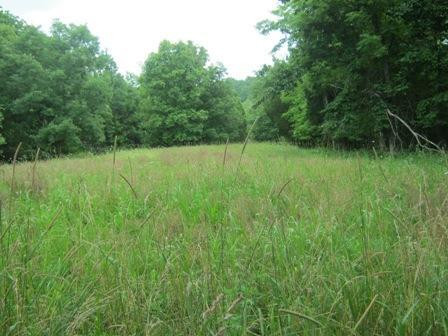1354 Birdie Road Lawrenceburg, KY 40342 - Photo 17 of 55 Photo 17