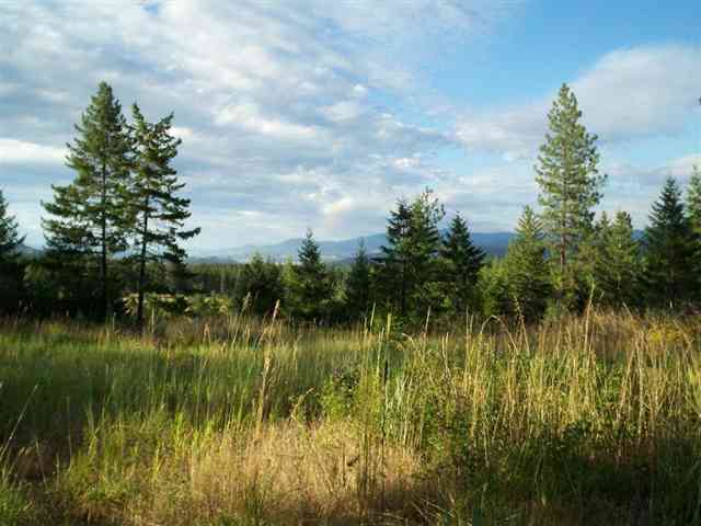 42 Hunters-springdale Road Springdale, WA 99173 - Photo 1 of 9