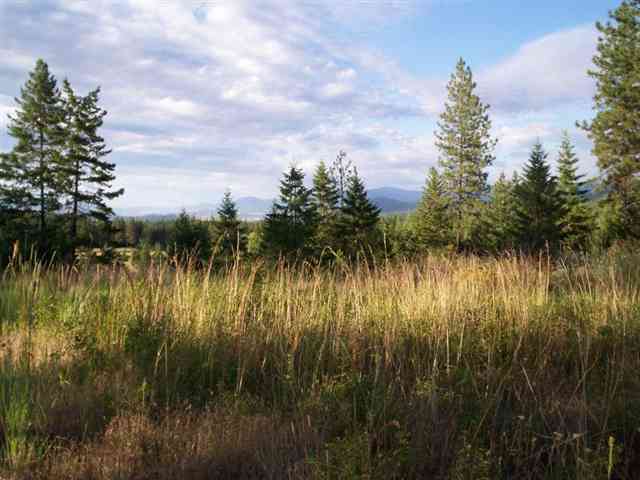 42 Hunters-springdale Road Springdale, WA 99173 - Photo 3 of 9