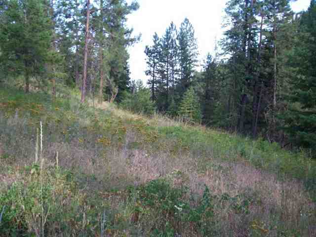 42 Hunters-springdale Road Springdale, WA 99173 - Photo 4 of 9