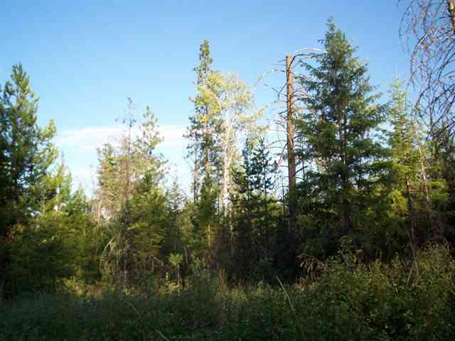 42 Hunters-springdale Road Springdale, WA 99173 - Photo 5 of 9