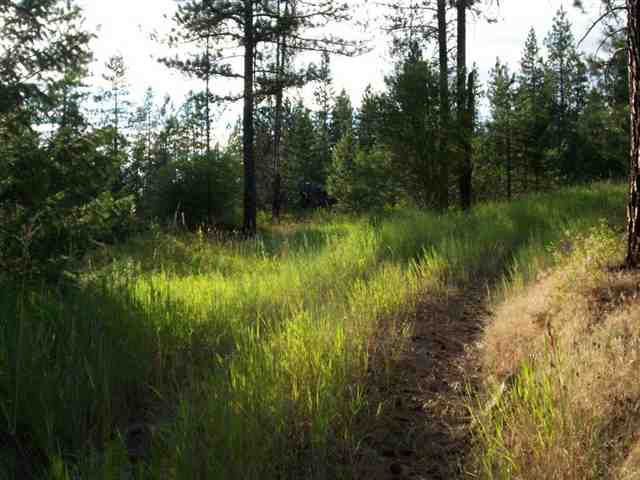 42 Hunters-springdale Road Springdale, WA 99173 - Photo 6 of 9