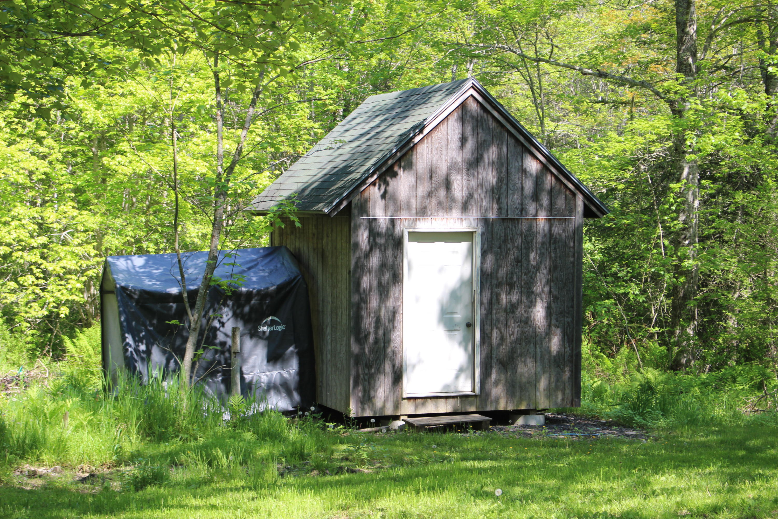 81 Toad Road St. George, ME 04860 - Photo 34 of 38 IMG_1538