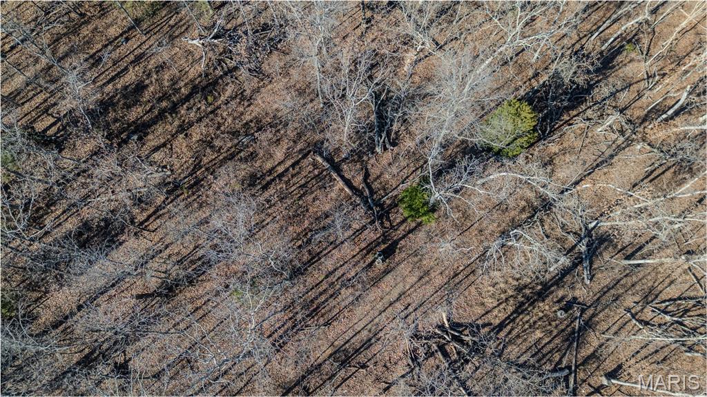 24959 Powellville Outer Road Newburg, MO 65550 - Photo 11 of 39