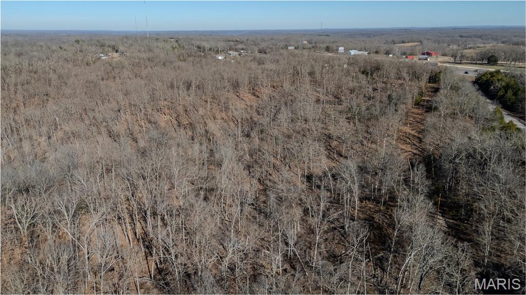 24959 Powellville Outer Road Newburg, MO 65550 - Photo 12 of 39