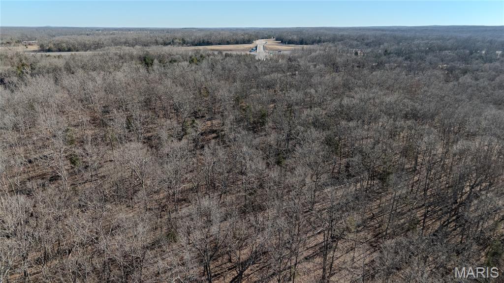 24959 Powellville Outer Road Newburg, MO 65550 - Photo 13 of 39
