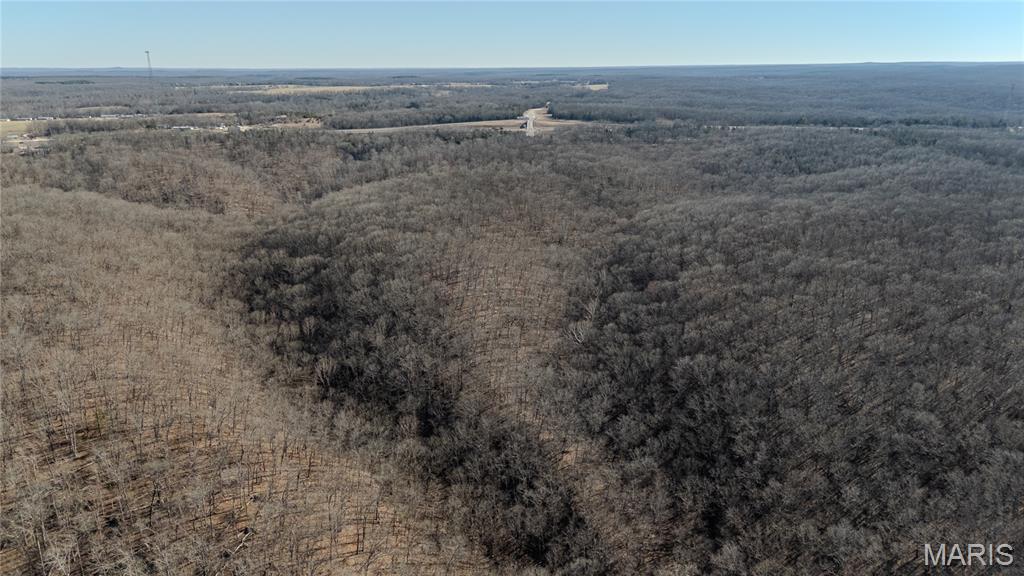 24959 Powellville Outer Road Newburg, MO 65550 - Photo 16 of 39