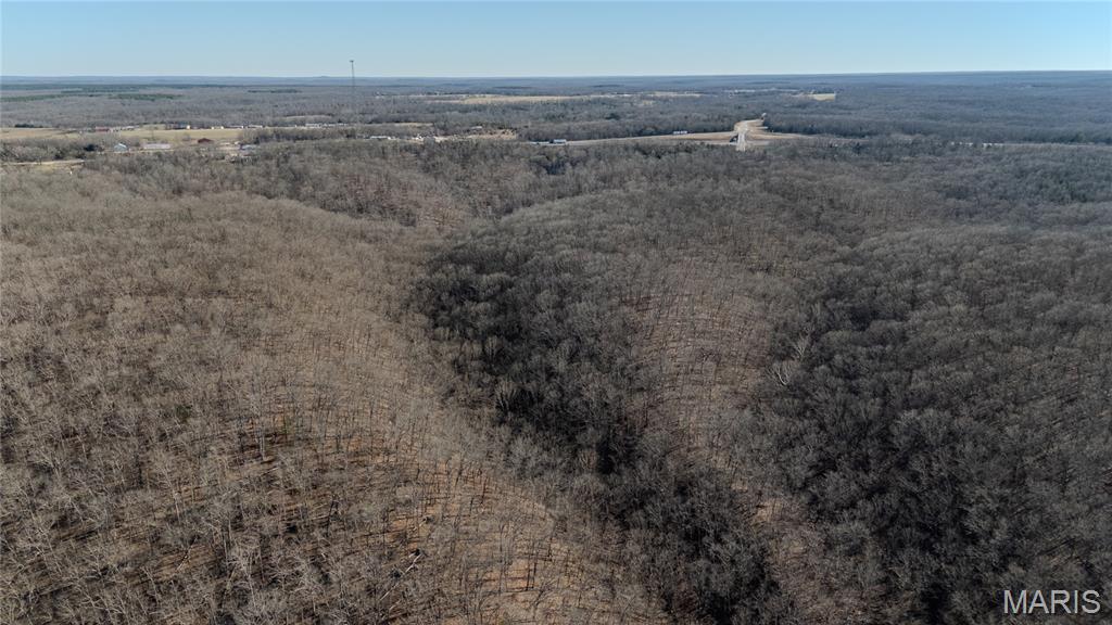 24959 Powellville Outer Road Newburg, MO 65550 - Photo 17 of 39