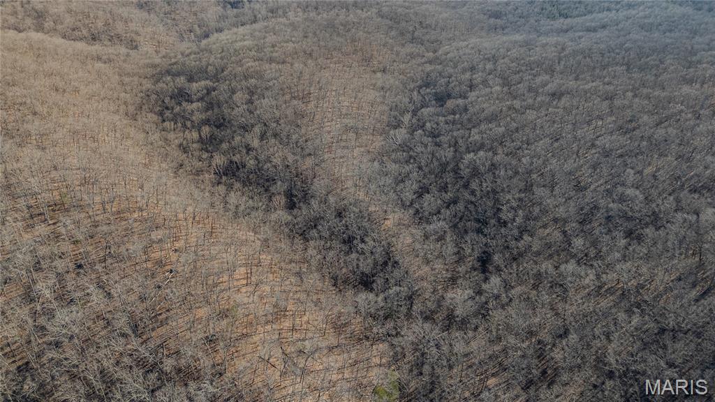 24959 Powellville Outer Road Newburg, MO 65550 - Photo 18 of 39