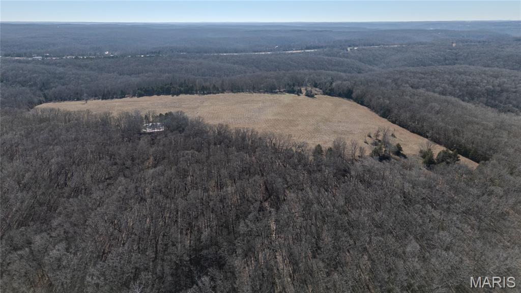 24959 Powellville Outer Road Newburg, MO 65550 - Photo 19 of 39