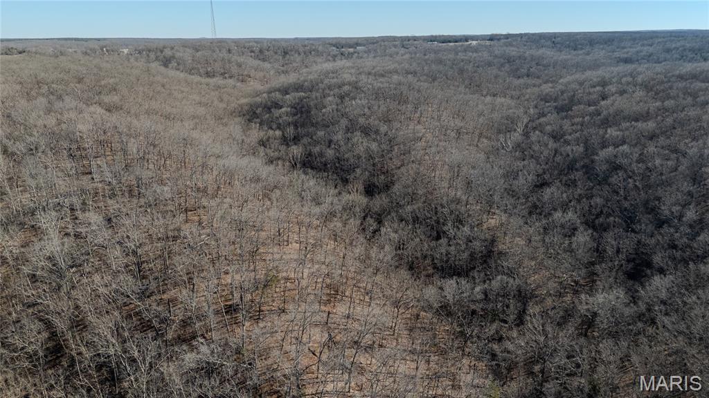 24959 Powellville Outer Road Newburg, MO 65550 - Photo 20 of 39