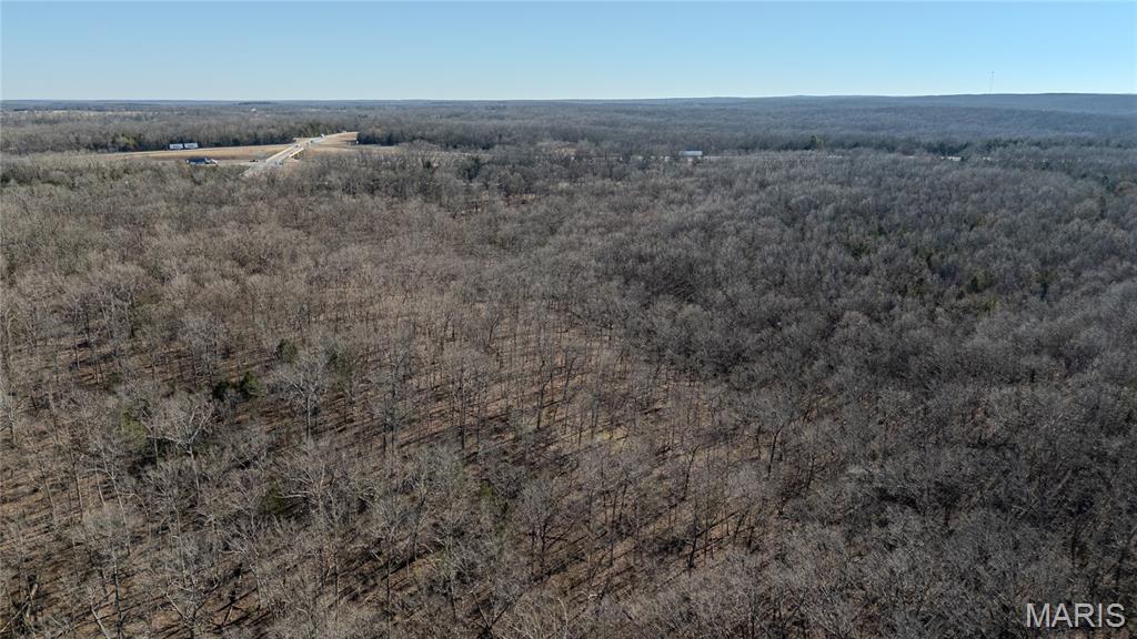 24959 Powellville Outer Road Newburg, MO 65550 - Photo 22 of 39