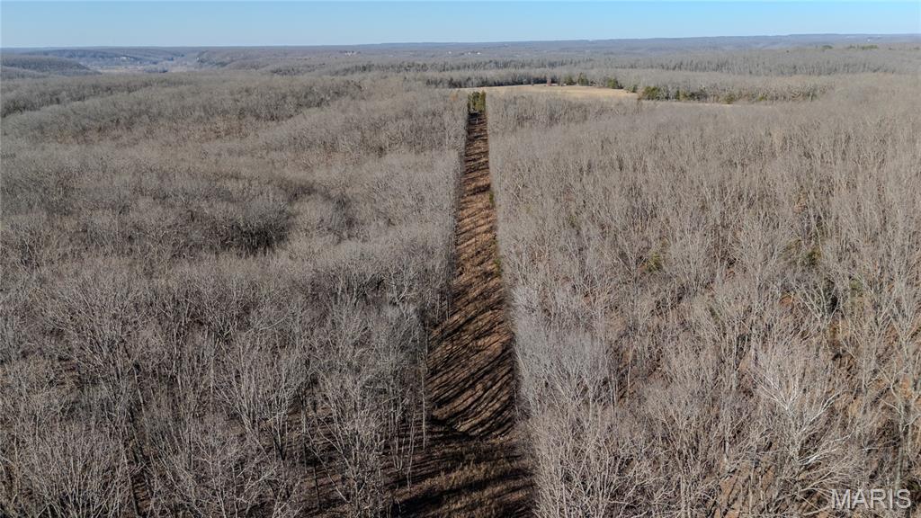 24959 Powellville Outer Road Newburg, MO 65550 - Photo 33 of 39