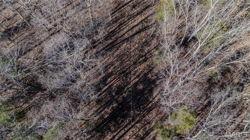 24959 Powellville Outer Road Newburg, MO 65550 - Photo 34 of 39