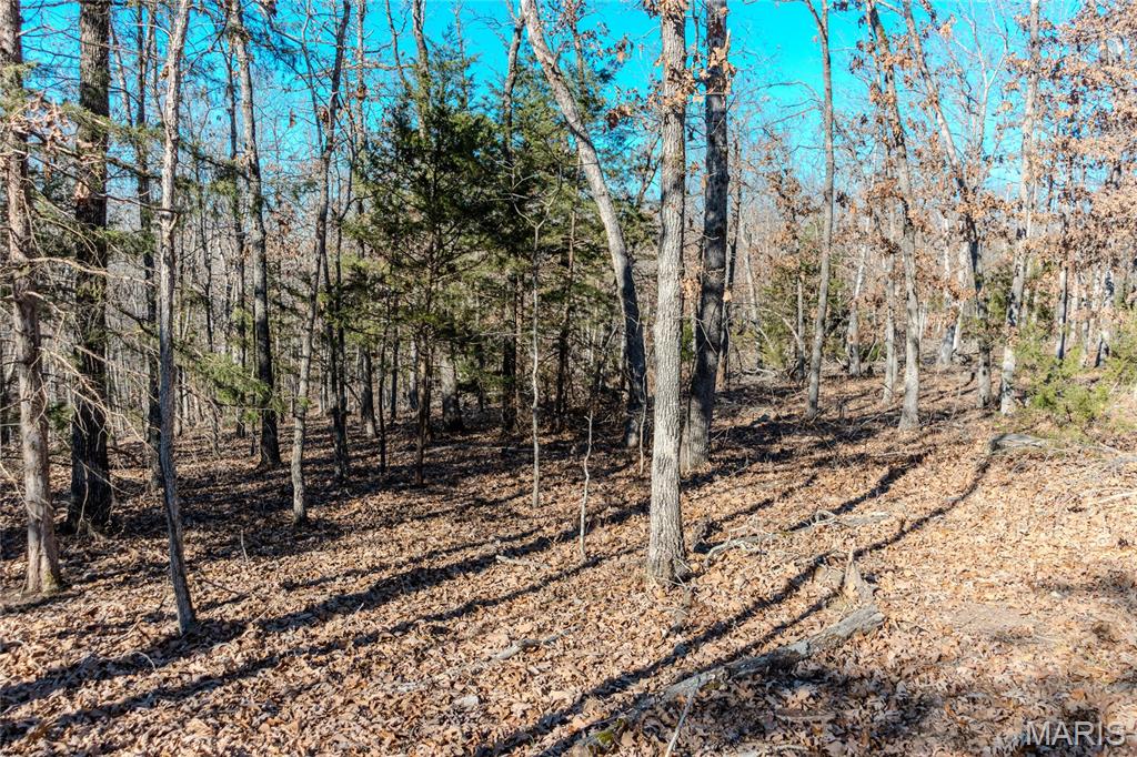 24959 Powellville Outer Road Newburg, MO 65550 - Photo 7 of 39