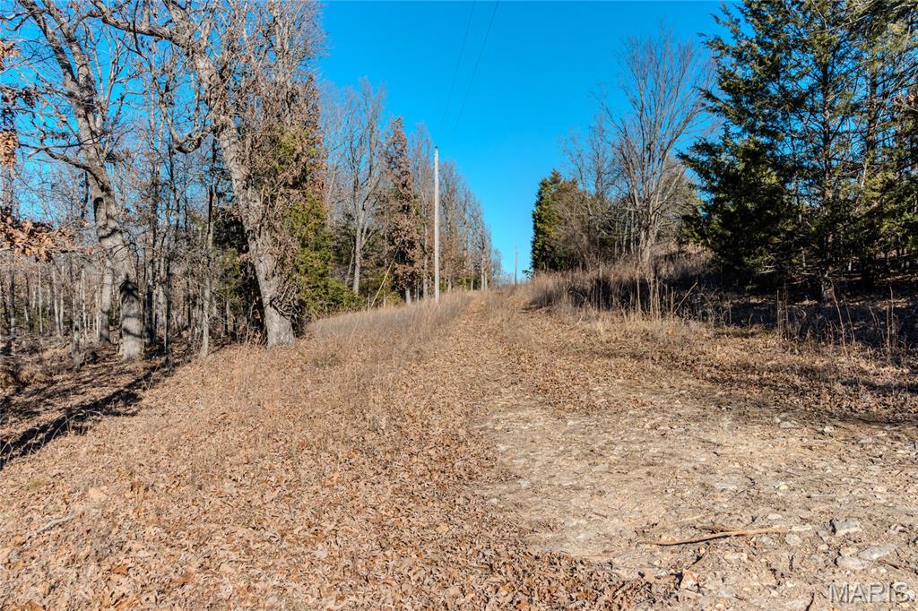 24959 Powellville Outer Road Newburg, MO 65550 - Photo 8 of 39