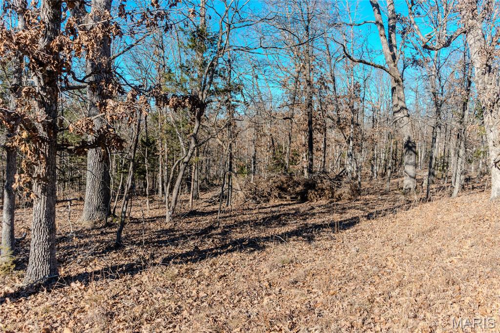 24959 Powellville Outer Road Newburg, MO 65550 - Photo 9 of 39