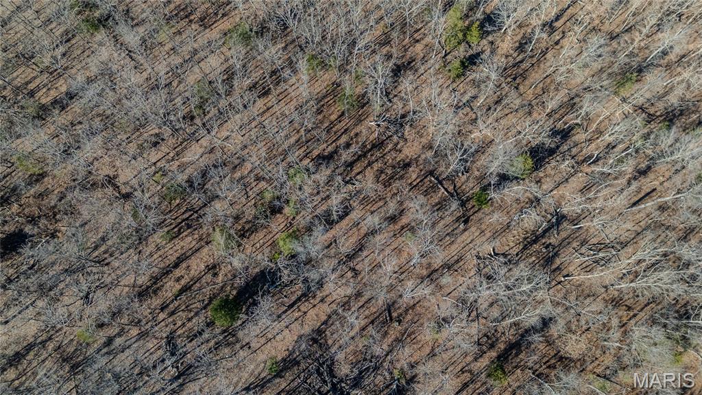 24959 Powellville Outer Road Newburg, MO 65550 - Photo 10 of 39