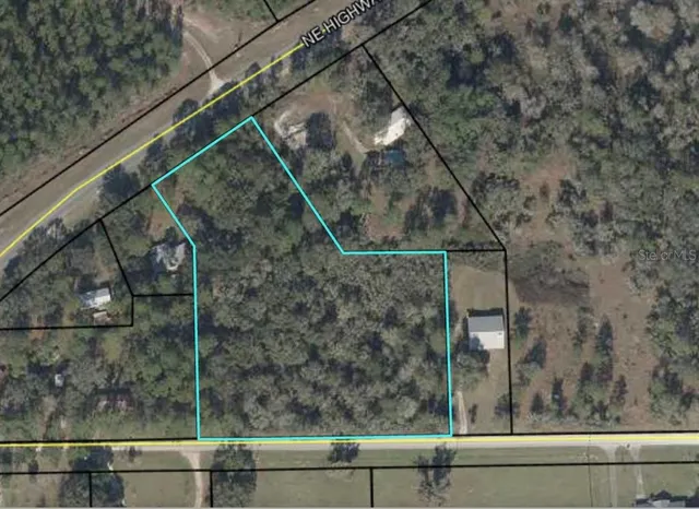 a view of a trees with a yard