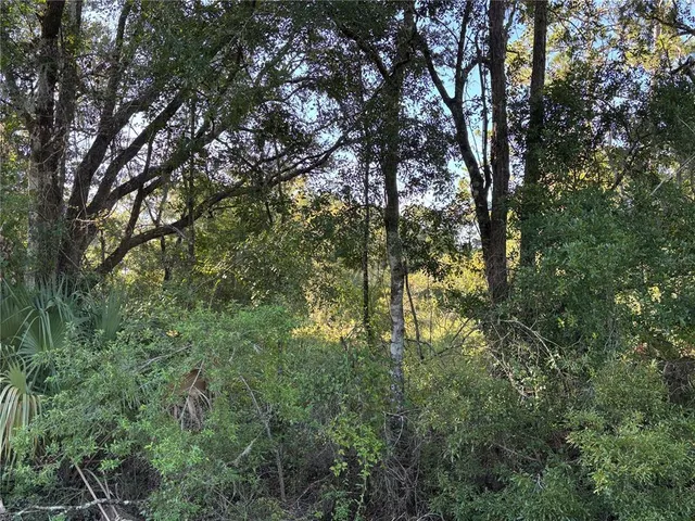 $75,000 | 351 Ne Highway, Cross City, FL 32628