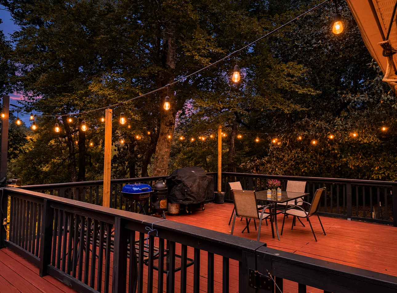 954 Hillbilly Heaven Road Livingston, TX 77351 - Photo 2 of 38