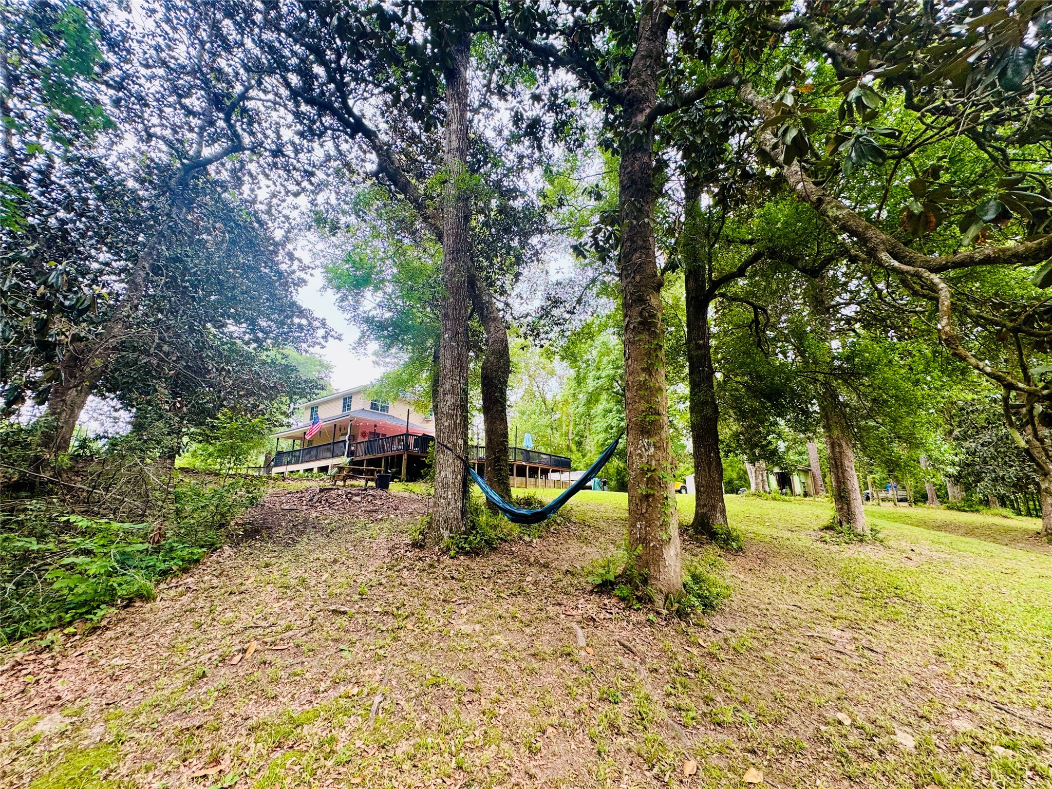 954 Hillbilly Heaven Road Livingston, TX 77351 - Photo 35 of 38 View of backyard looking up at the home and back deck area. Total privacy from neighbors.