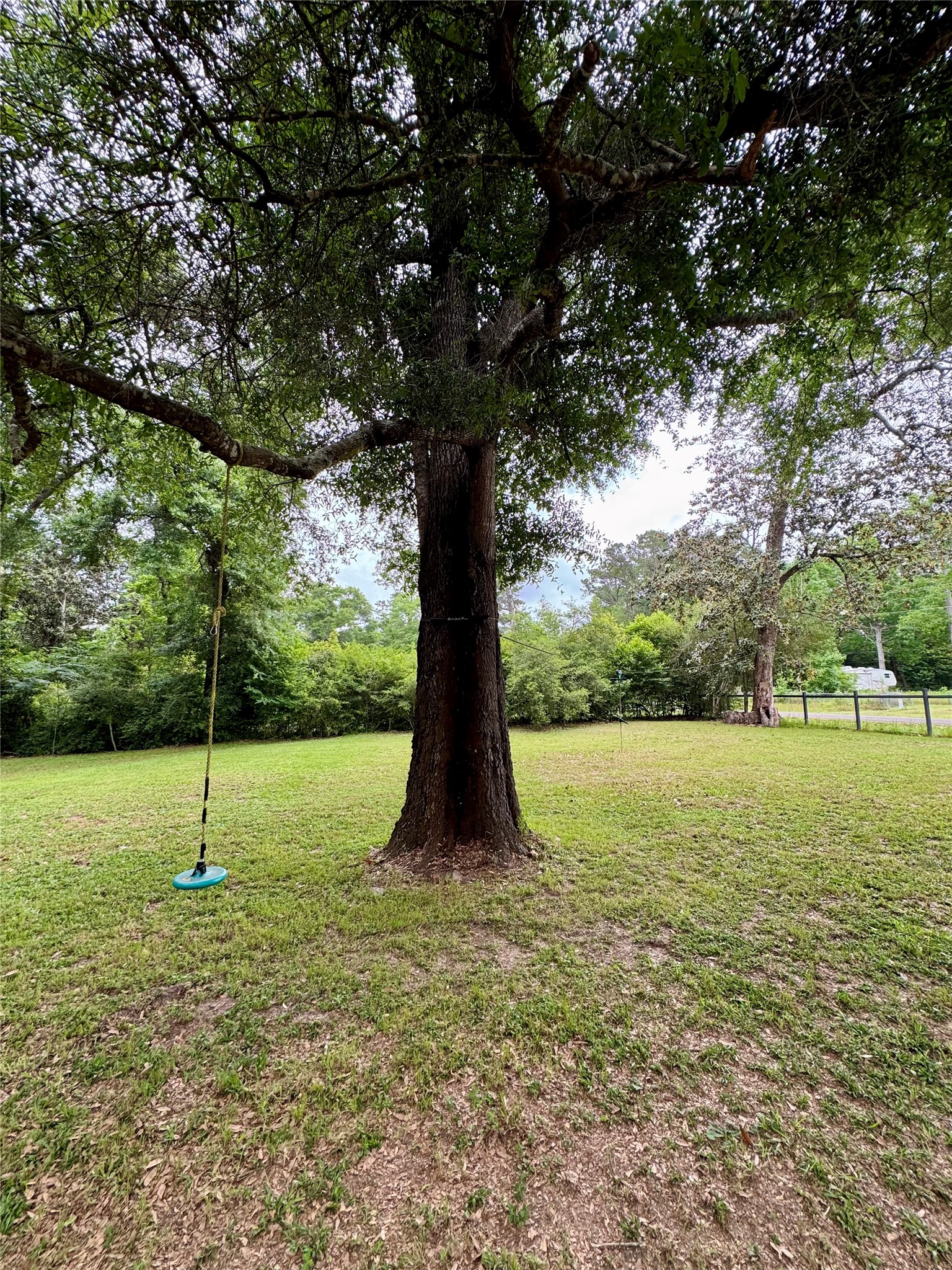 954 Hillbilly Heaven Road Livingston, TX 77351 - Photo 36 of 38