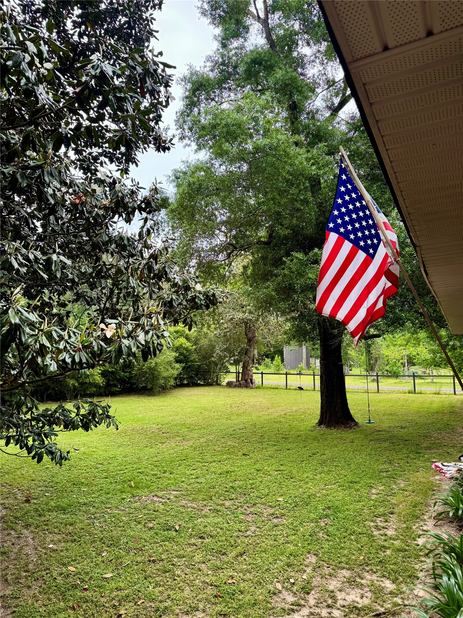 954 Hillbilly Heaven Road Livingston, TX 77351 - Photo 38 of 38 View of the large fenced side yard.