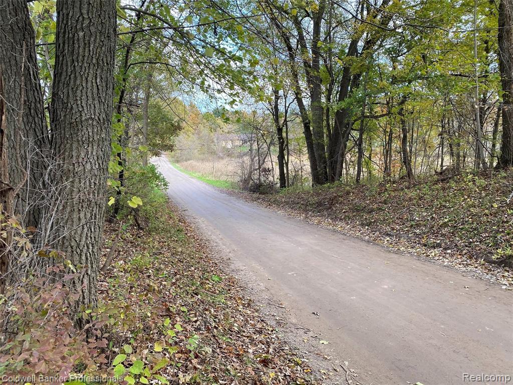 Vl Vl Rohn Parcel Road Fenton, MI 48430 - Photo 3 of 12