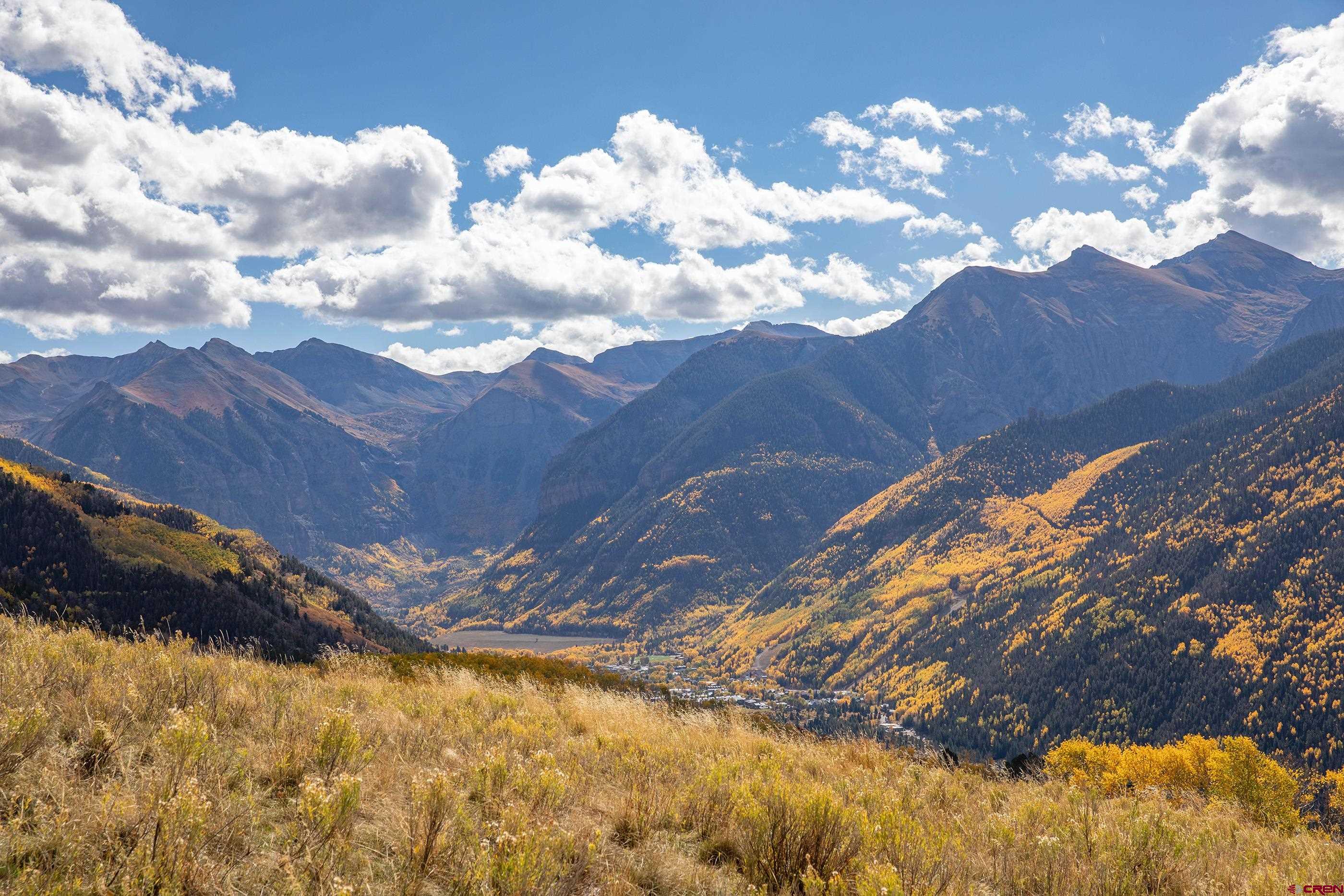 630 Sunnyside Ranch Drive Telluride, CO 81435 - Photo 4 of 26 a view of a tree with a yard