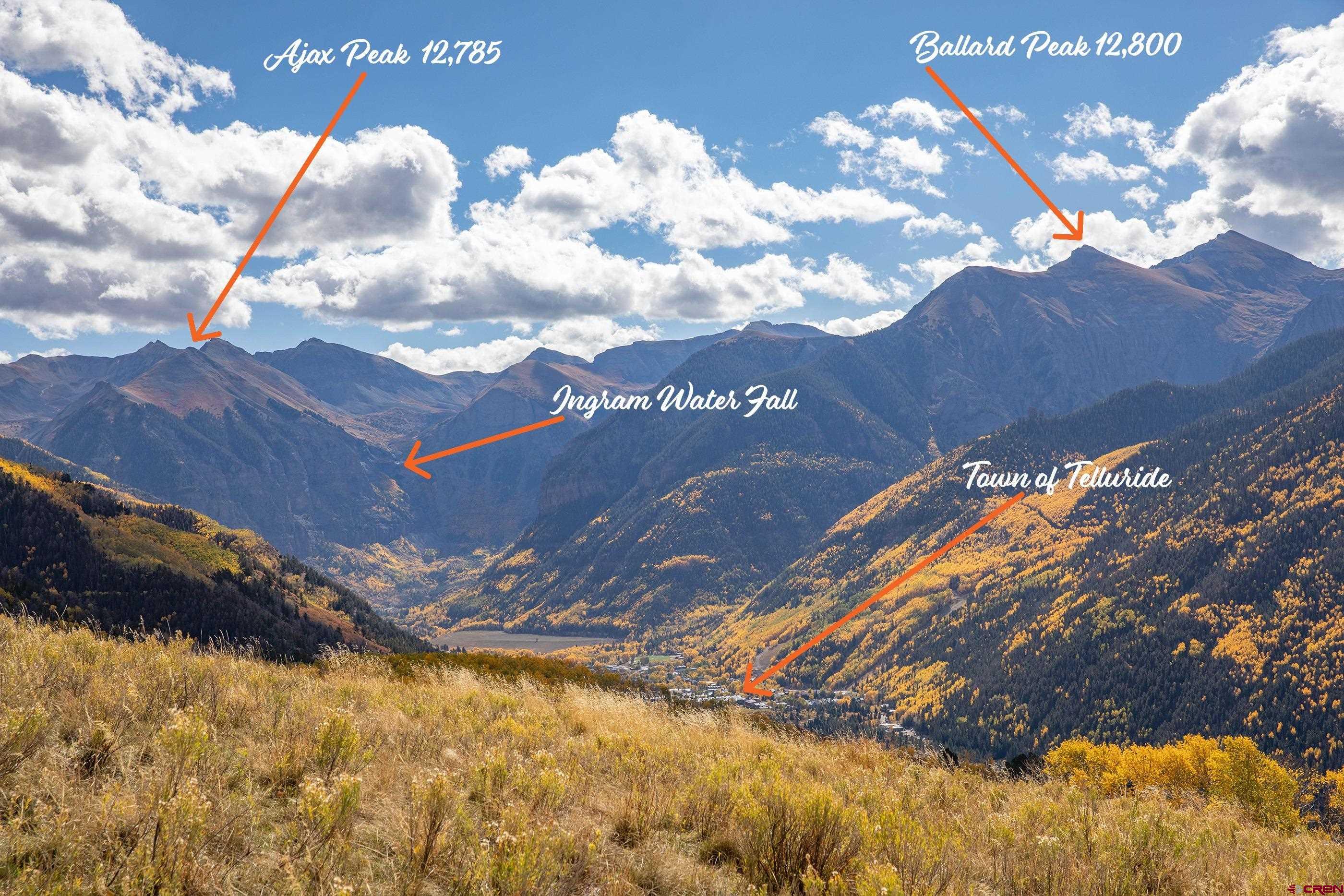 630 Sunnyside Ranch Drive Telluride, CO 81435 - Photo 5 of 26 a view of a tree with a yard