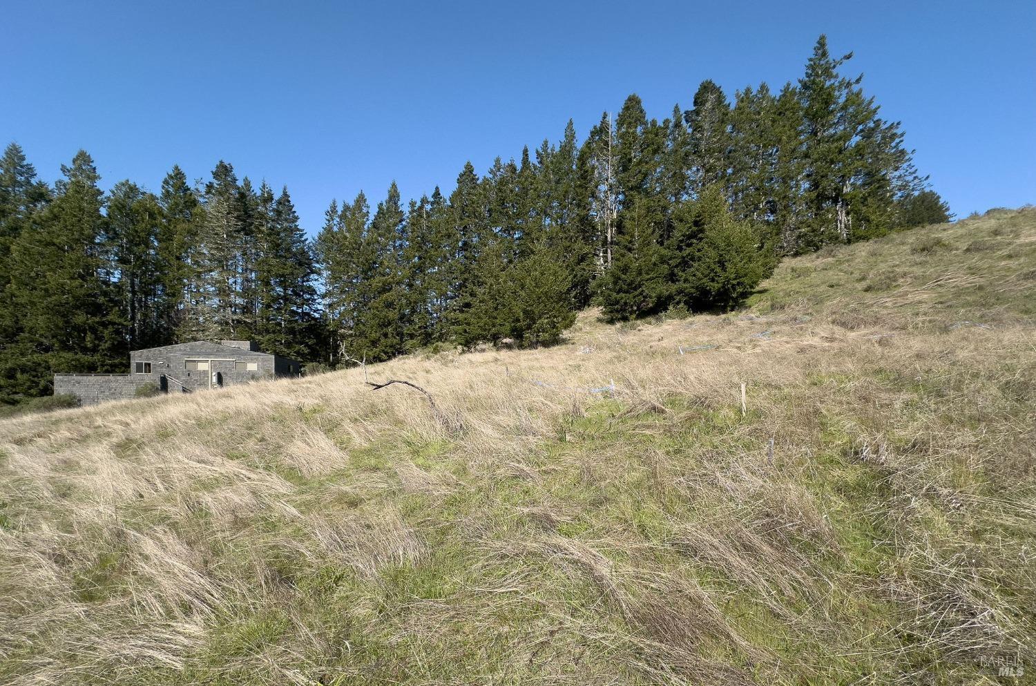 36964 Greencroft Close The Sea Ranch, CA 95497 - Photo 11 of 27 a view of a yard covered with snow in the background