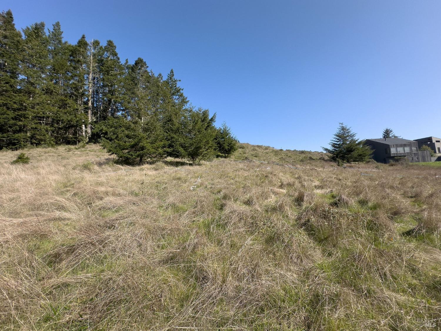 36964 Greencroft Close The Sea Ranch, CA 95497 - Photo 12 of 27 a view of a dry yard