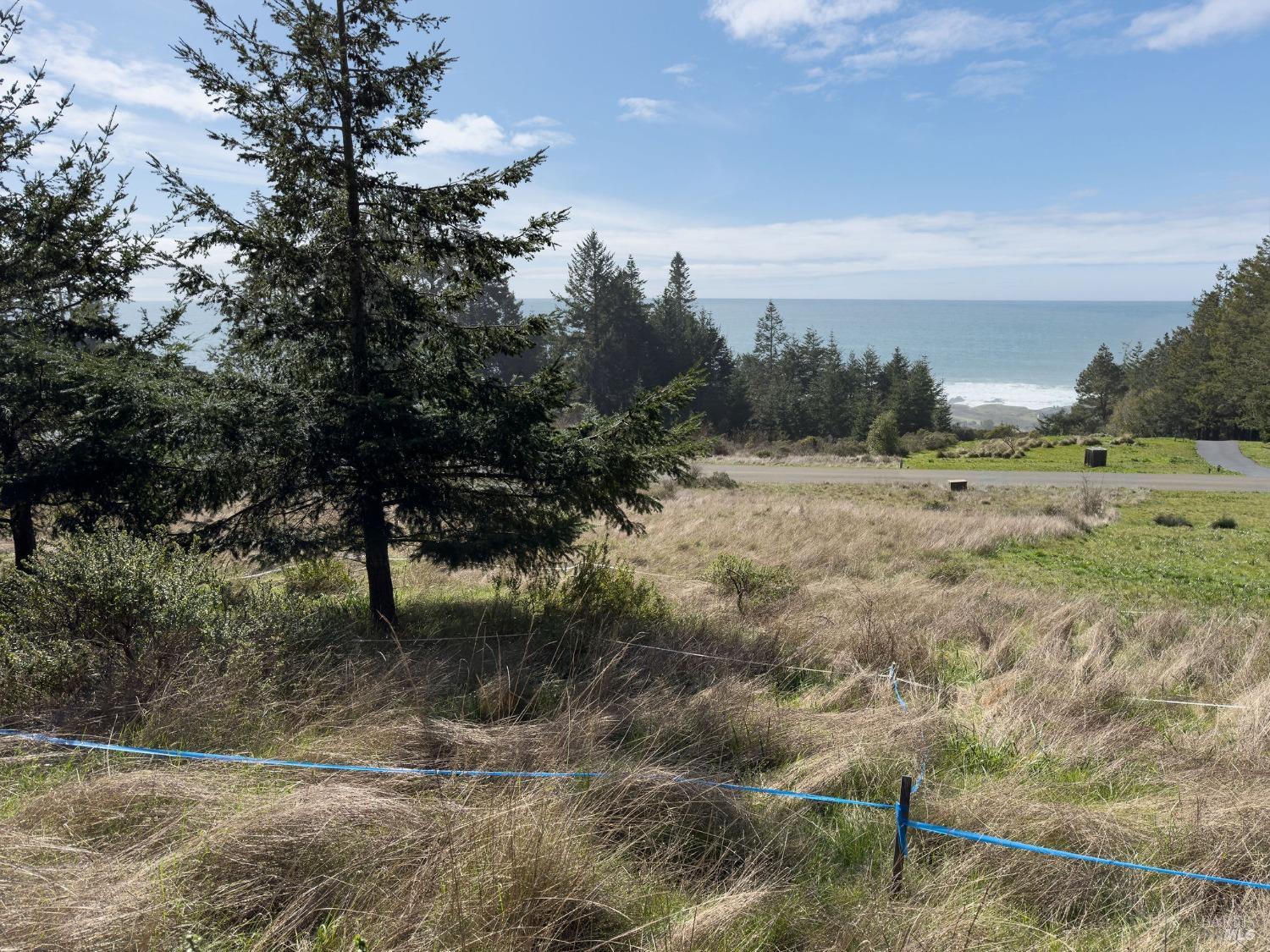 36964 Greencroft Close The Sea Ranch, CA 95497 - Photo 14 of 27 a view of a yard with an trees