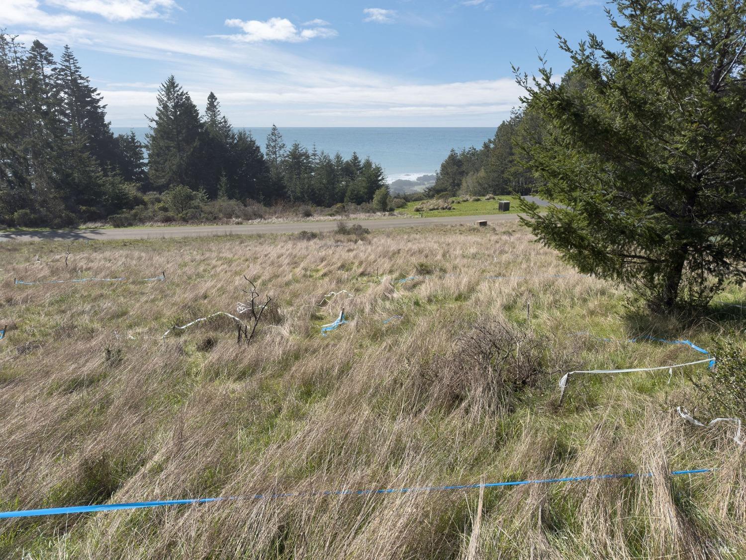 36964 Greencroft Close The Sea Ranch, CA 95497 - Photo 3 of 27 a view of a field with trees in the background